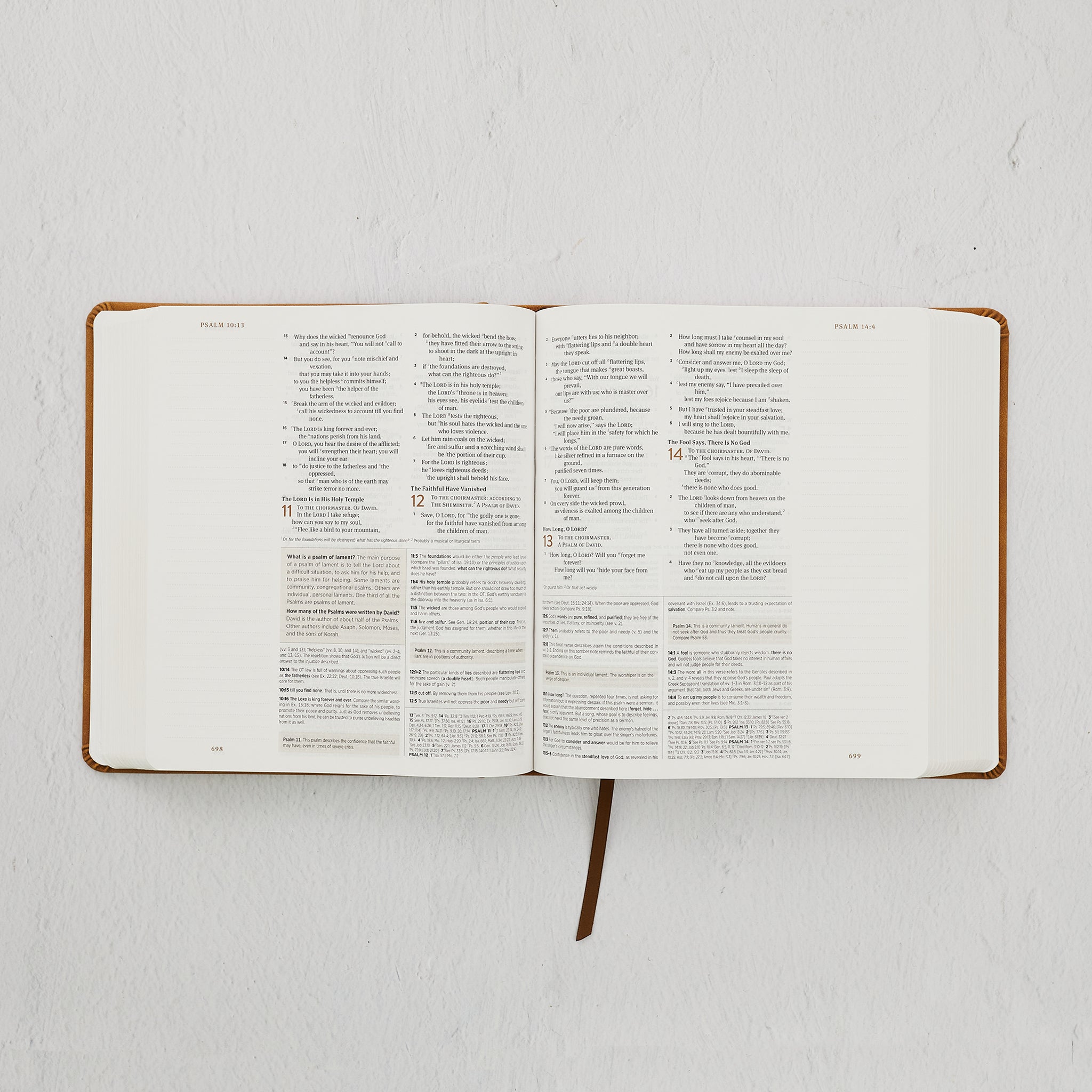 ESV Journaling Study Bible