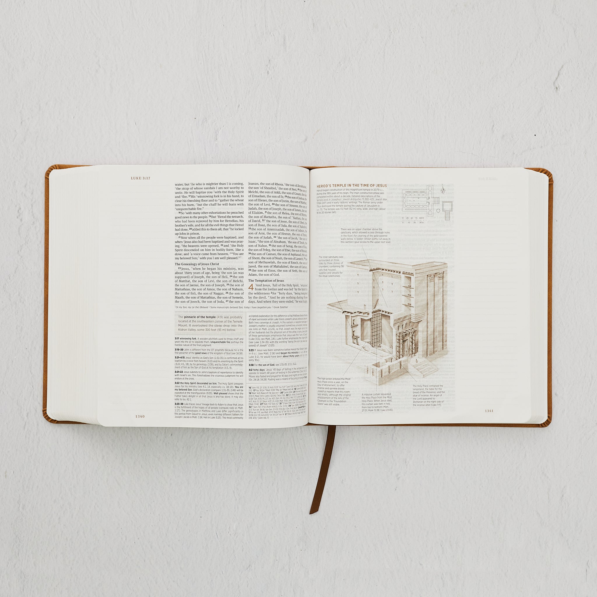 ESV Journaling Study Bible